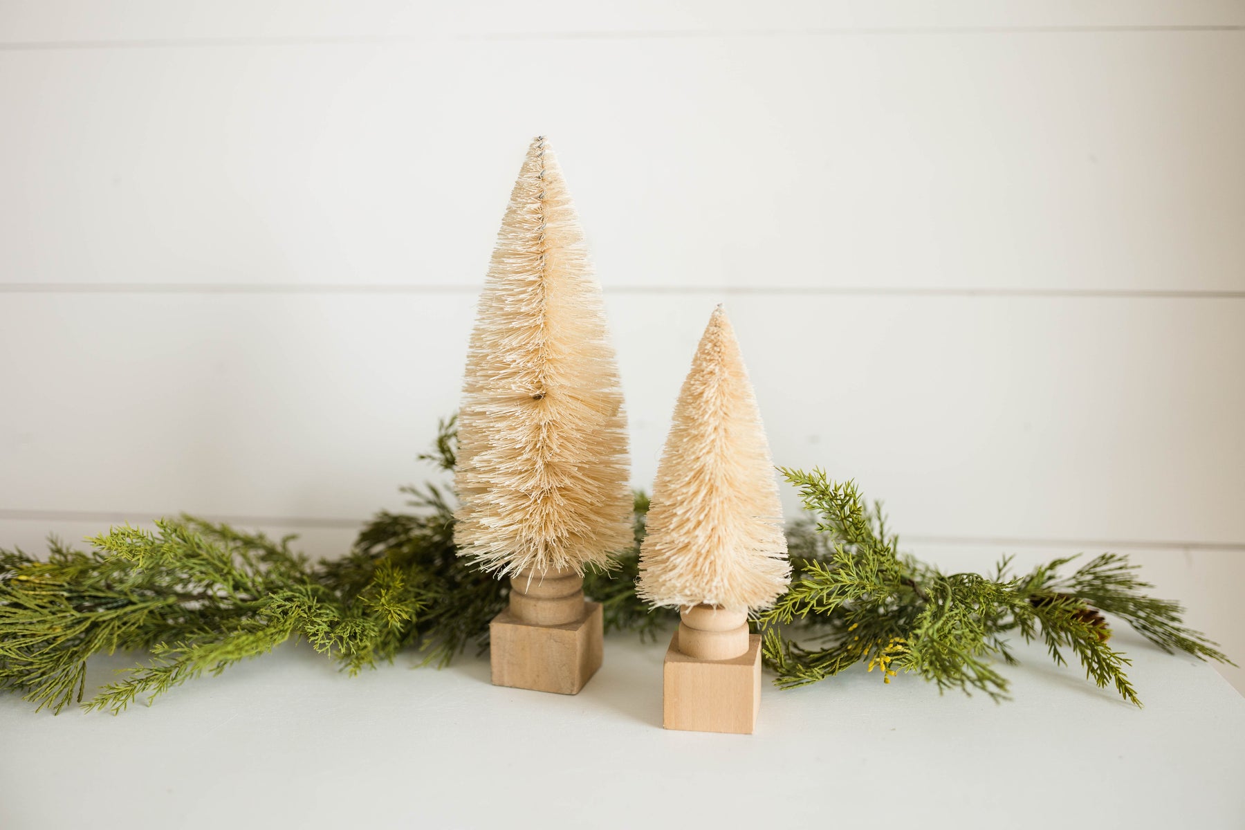 Slender Lit Bottle Brush Trees – ECOVIBE