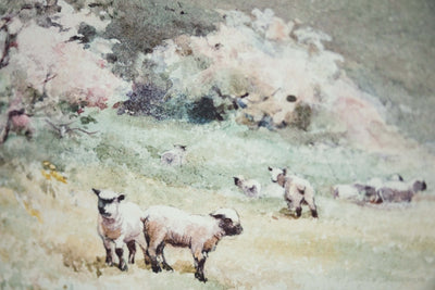 Good Shepherd