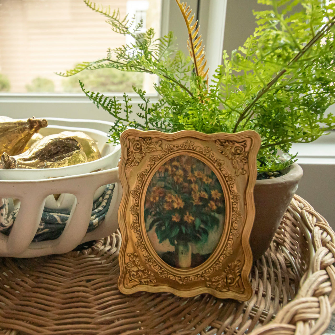 Potted Lace Fern